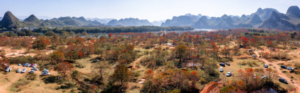 廣西桂林竹江烏桕灘景區(qū)紅葉