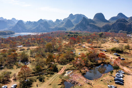 廣西桂林竹江烏桕灘景區(qū)紅葉