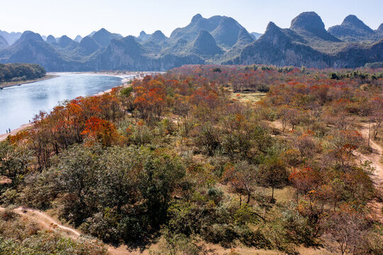 廣西桂林雁山竹江烏桕灘紅葉