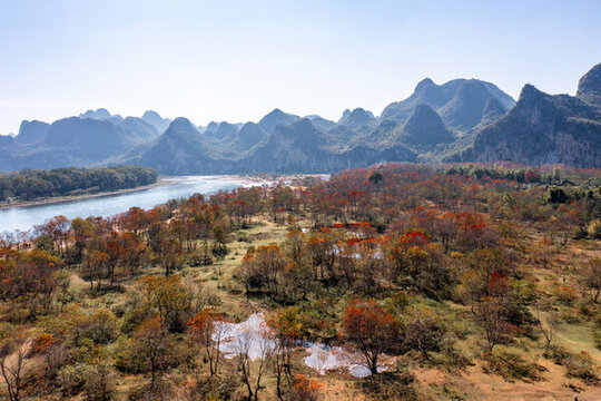 廣西桂林雁山竹江烏桕灘紅葉