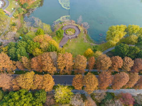 武漢東湖風(fēng)景區(qū)深秋風(fēng)光