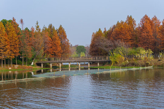 武漢東湖風(fēng)景區(qū)深秋風(fēng)光