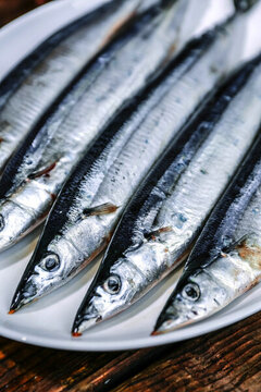 秋刀魚(yú)