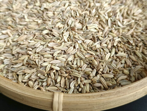 靜物干茴香