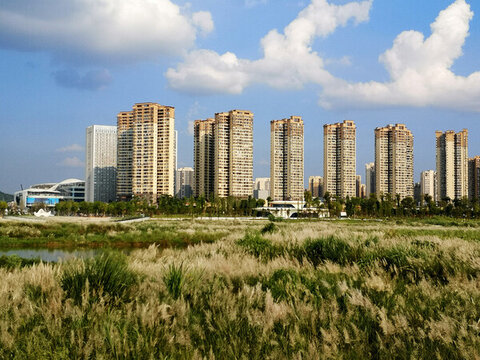 城市高樓