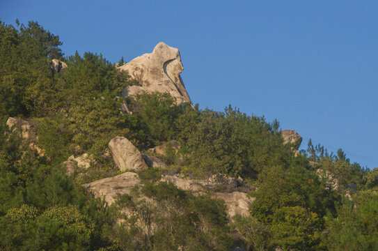 山坡斜地