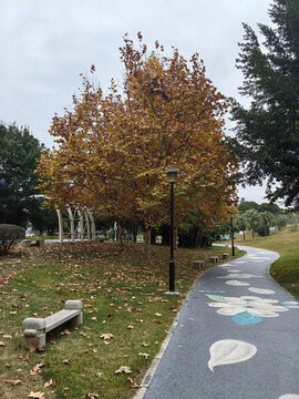 公園步道