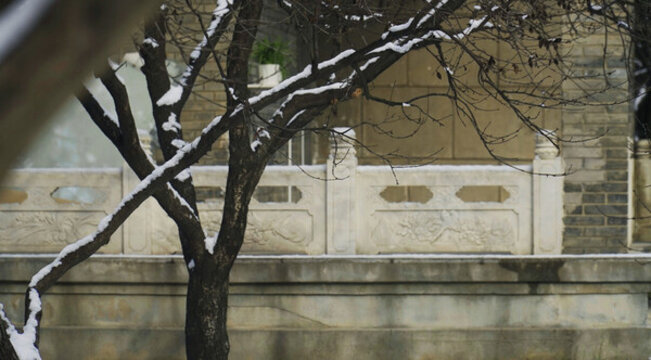 陽光雪景