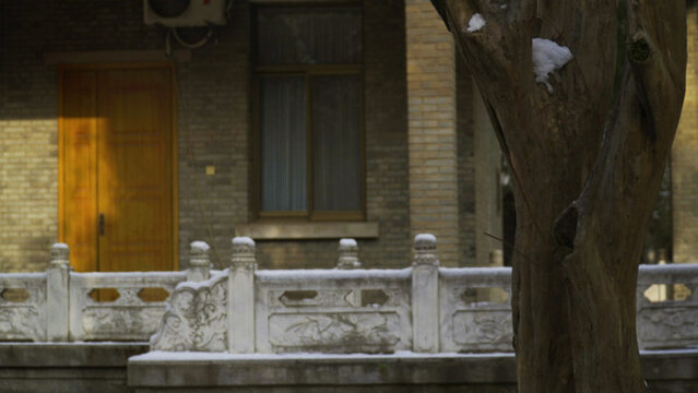 雪后的園林