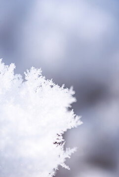 冬季室外冰晶雪花圖片