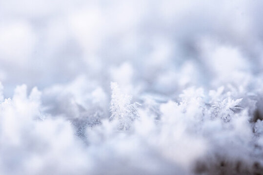 冬天微距特寫冰晶雪花