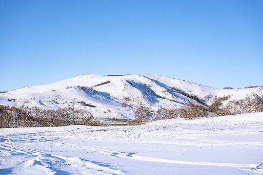 冬季戶外的草原雪景