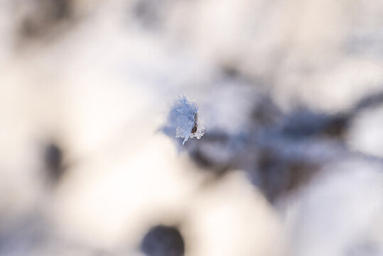 冬天點(diǎn)點(diǎn)積雪圖片