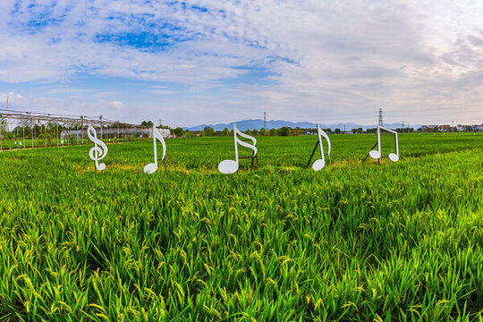 鄉(xiāng)村稻田田園音樂(lè)音符符號(hào)