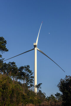 風力發(fā)電