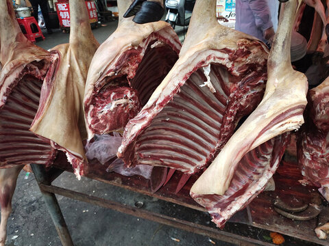 羊肉