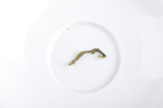 春茶