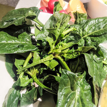 菠菜