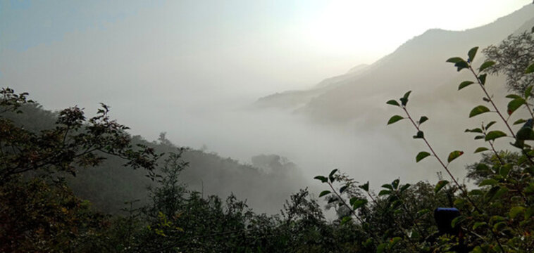 高山云霧