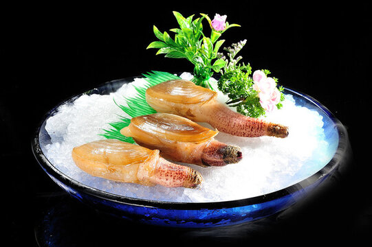 小象蚌