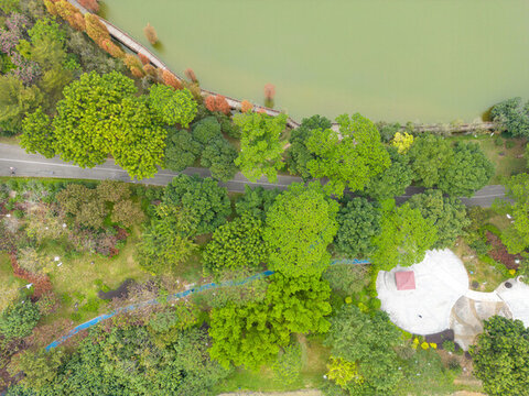 廣州番禺大夫山森林公園