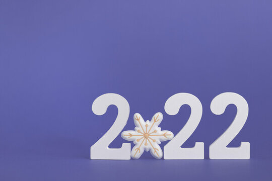 2022雪花創(chuàng)意長春花籃