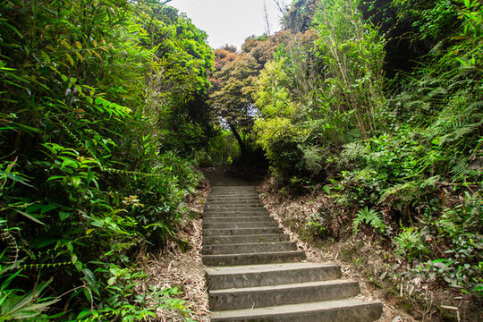 梯步臺(tái)階