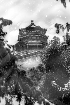 雪染園林