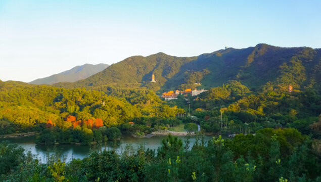 深圳仙湖植物園