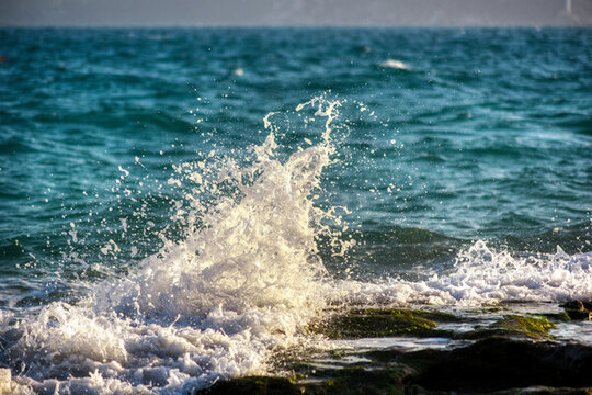 浪花