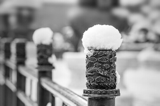 雪染園林