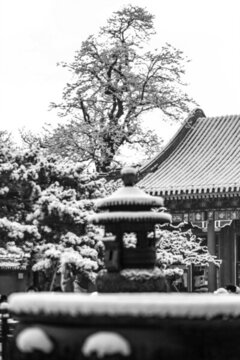 雪染園林