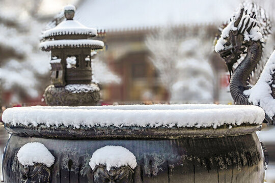 雪染園林