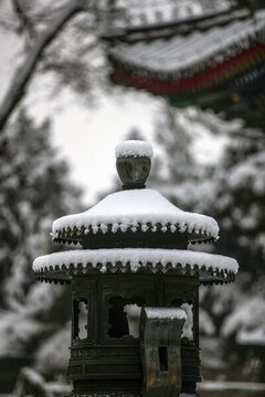 雪染園林