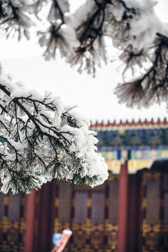 雪染園林