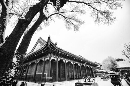 雪染園林