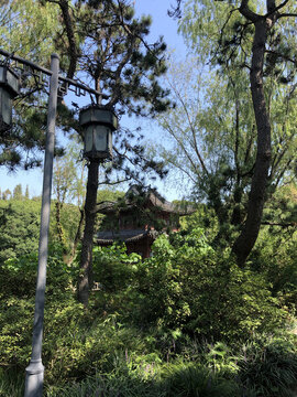 中式路燈