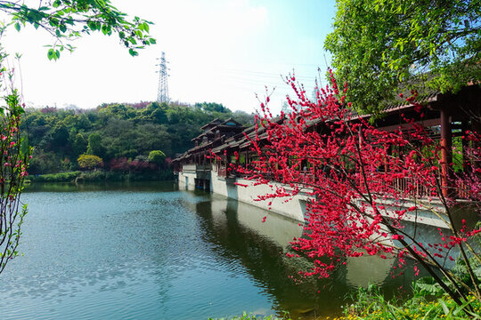 重慶彩云湖濕地公園