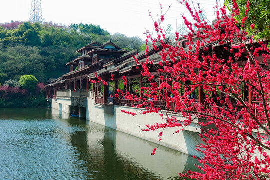 重慶城市風(fēng)光