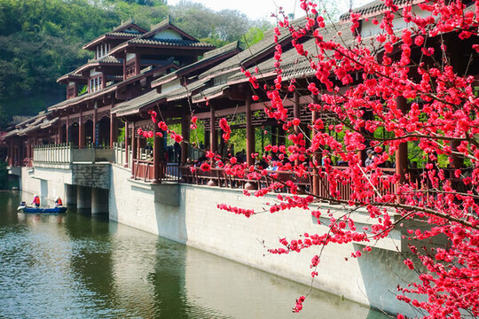 景苑園林?jǐn)z影