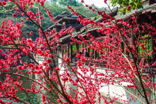 彩云湖濕地公園