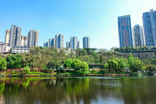 濕地公園