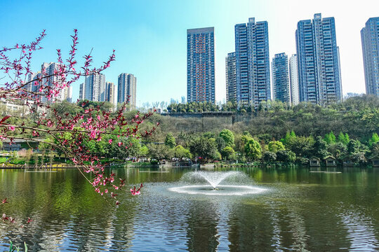 重慶彩云湖濕地公園