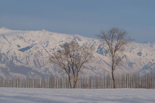 雪景