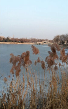 日湖公園