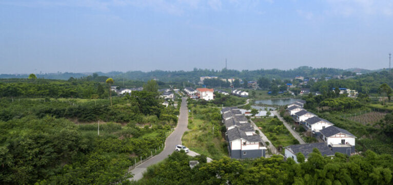 新農(nóng)村