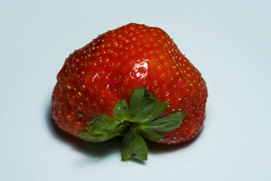 草莓