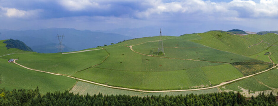 龍池高山蔬菜全景