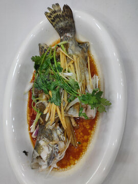 清蒸鱸魚