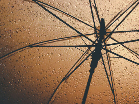 落满雨珠的雨伞